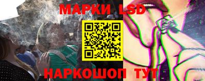 гидропоника Камышлов