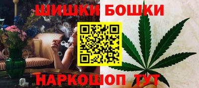 гидропоника Камышлов